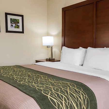 Comfort Inn - Pocono Mountains White Haven Exteriér fotografie