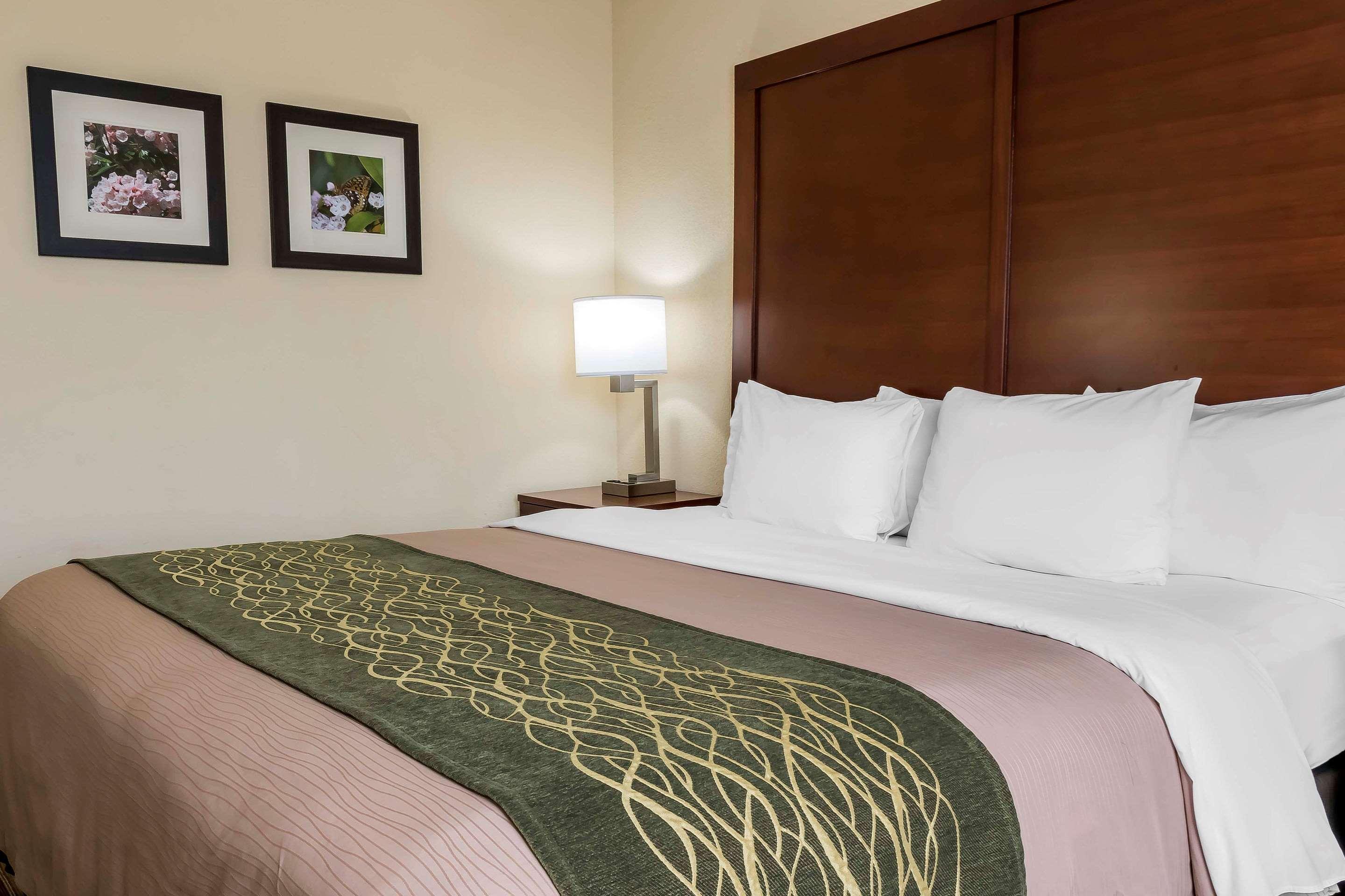 Comfort Inn - Pocono Mountains White Haven Exteriér fotografie