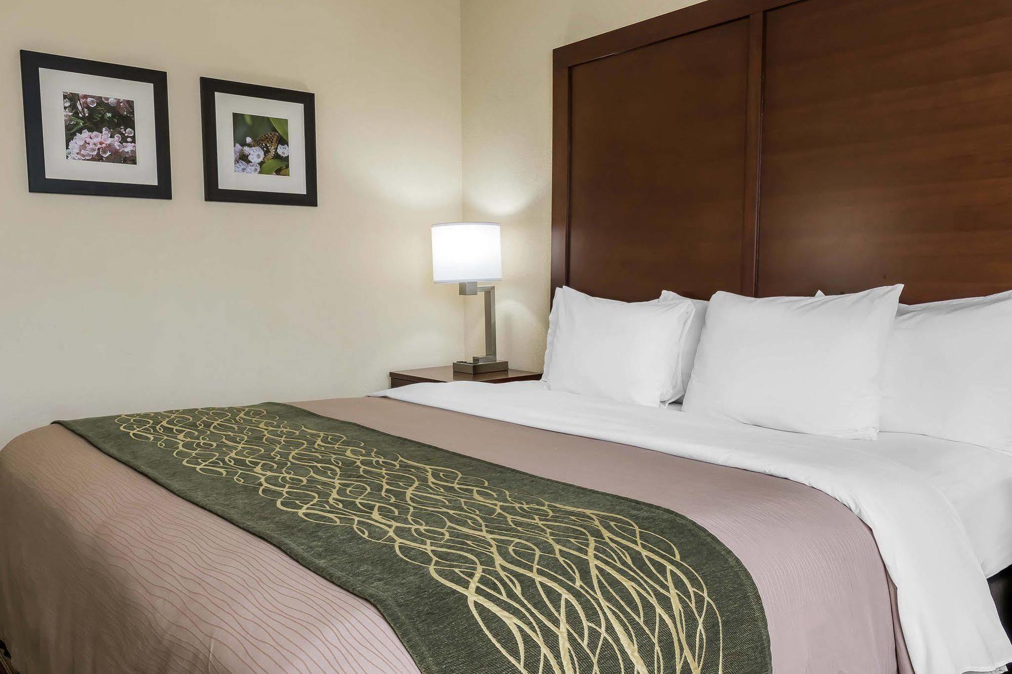 Comfort Inn - Pocono Mountains White Haven Exteriér fotografie